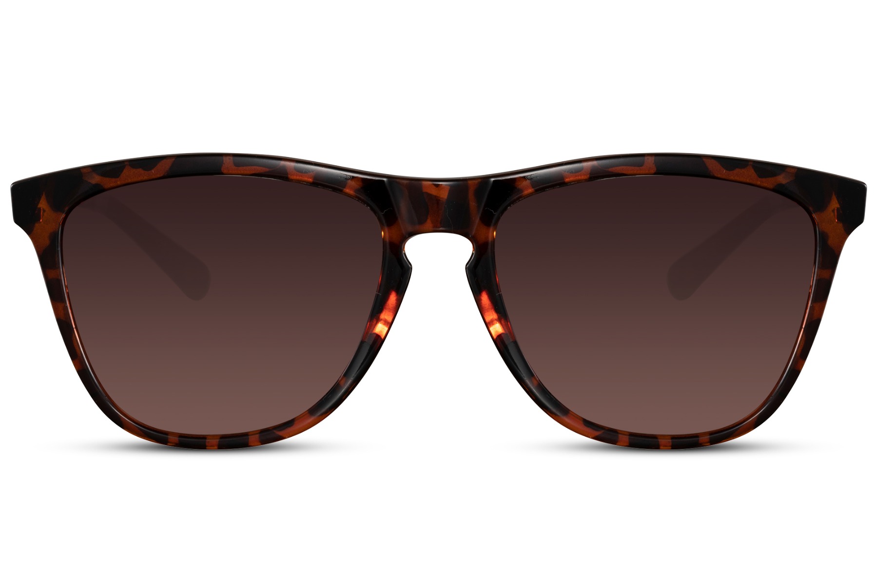 The War on Christmas