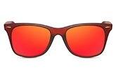 Wayfarer Sunglasses